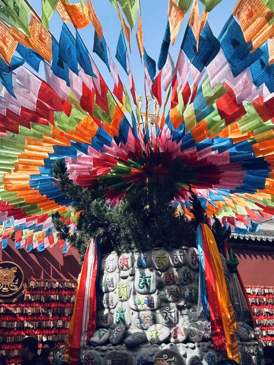 04男大📍西安三天两夜保姆级攻略❗️❗️