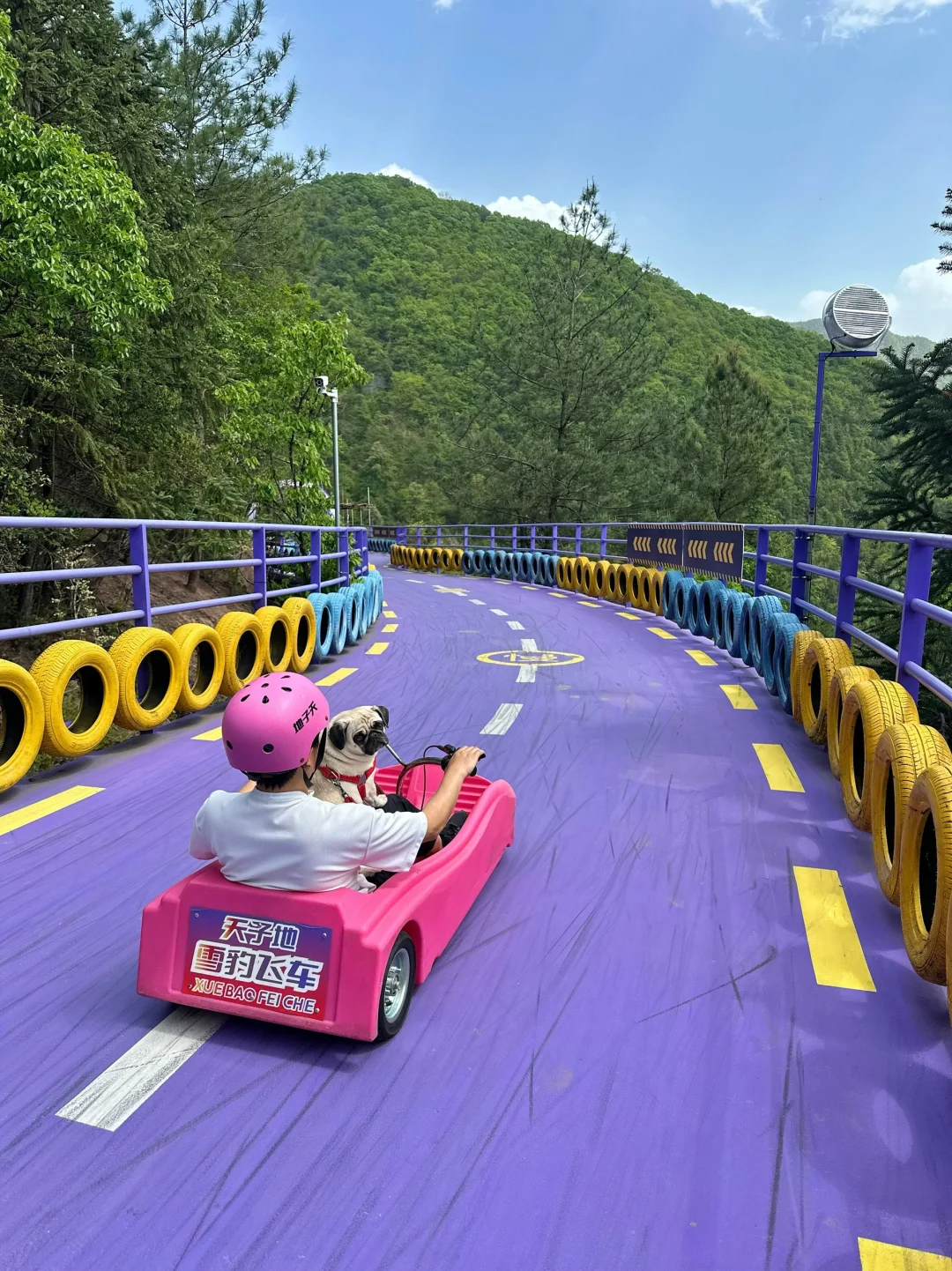 江浙沪最爱的山野乐园❗️小众冷门好玩到爆