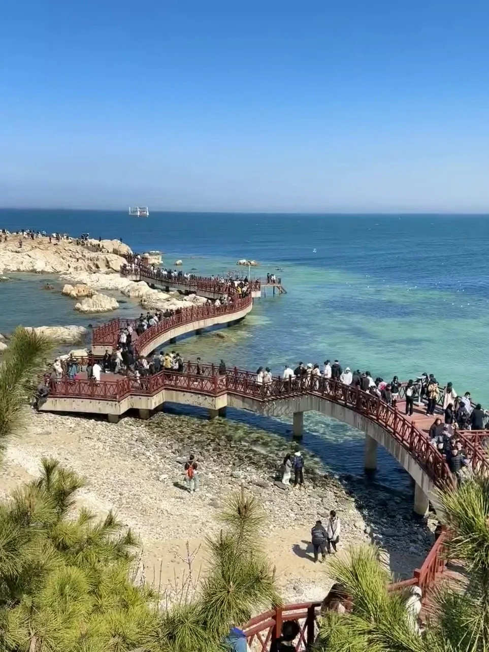 五一出行计划之养马岛!🌊