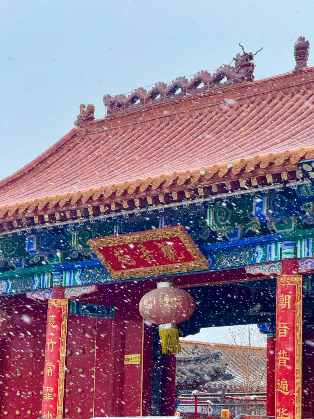 刚从蓬莱回来!说点大实话……😅😅