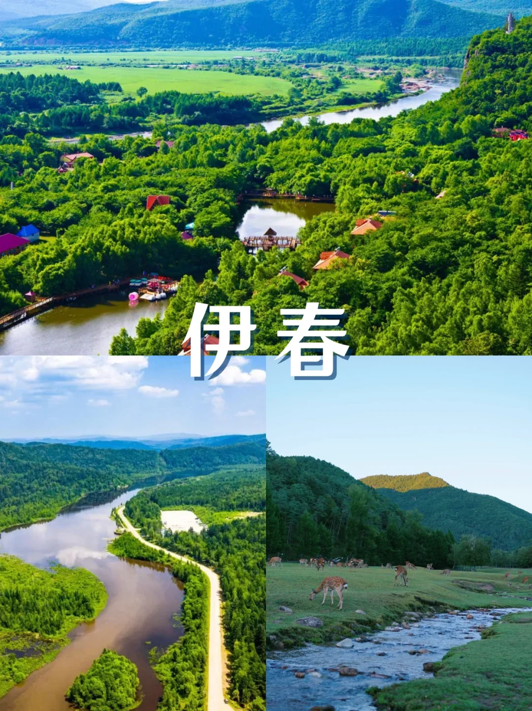 🌟东三省五一打卡攻略｜跟团游懒人版来啦