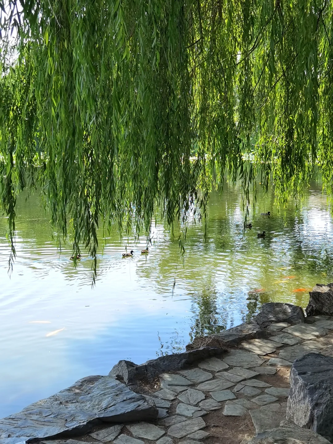 🚩北京 | 趁兴而来，尽兴而归