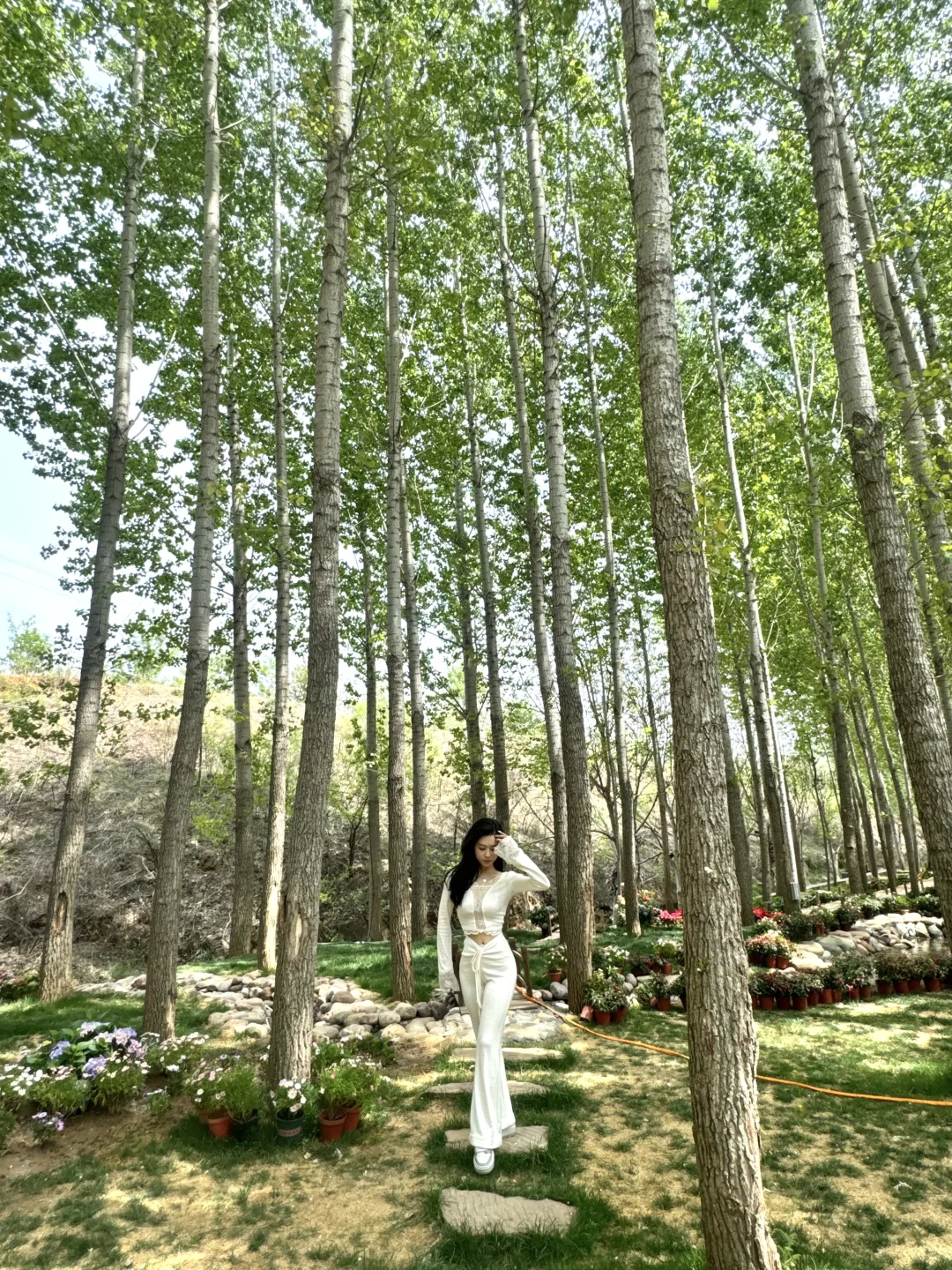 假期就去这!竟然有这么美的莫奈花园!💐