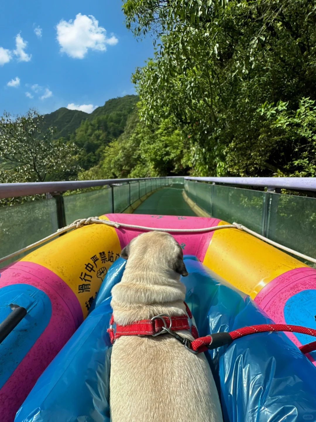 江浙沪最爱的山野乐园❗️小众冷门好玩到爆