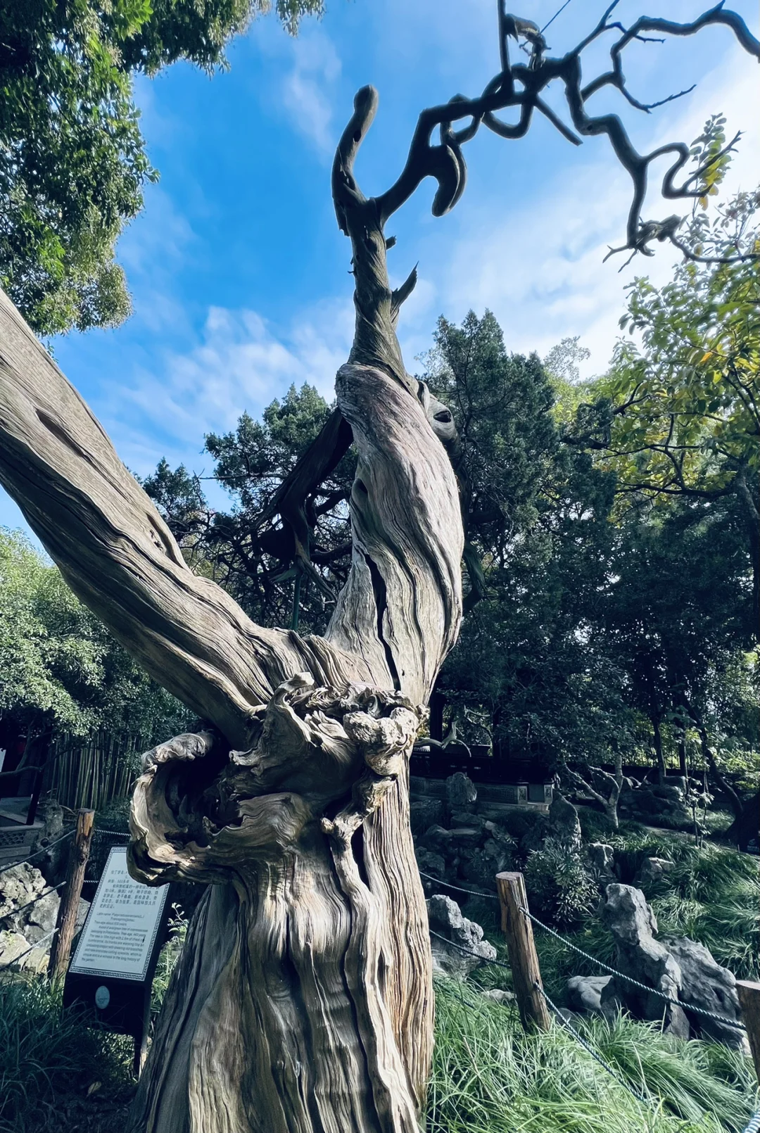 人少景美 两天两夜游 走起!