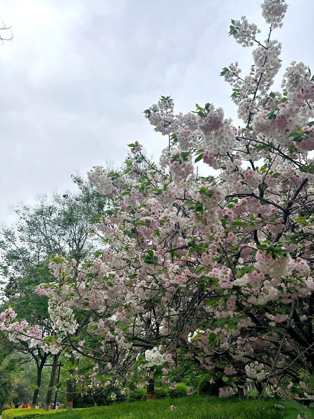 西安旅游攻略二