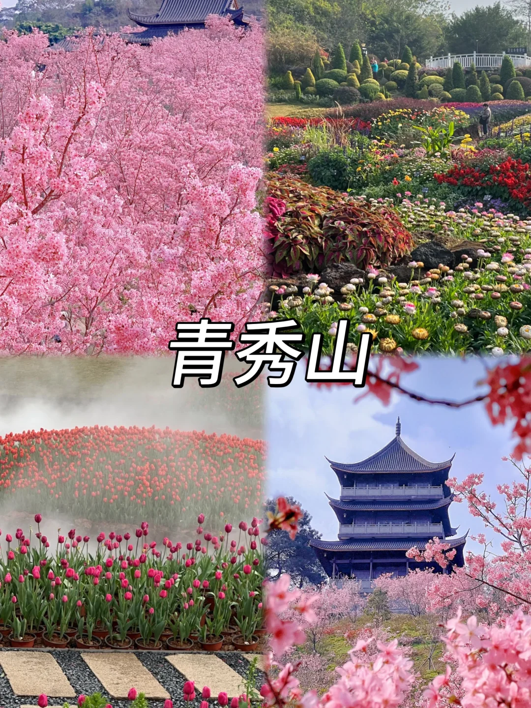 南宁,我最喜欢的城市之一~