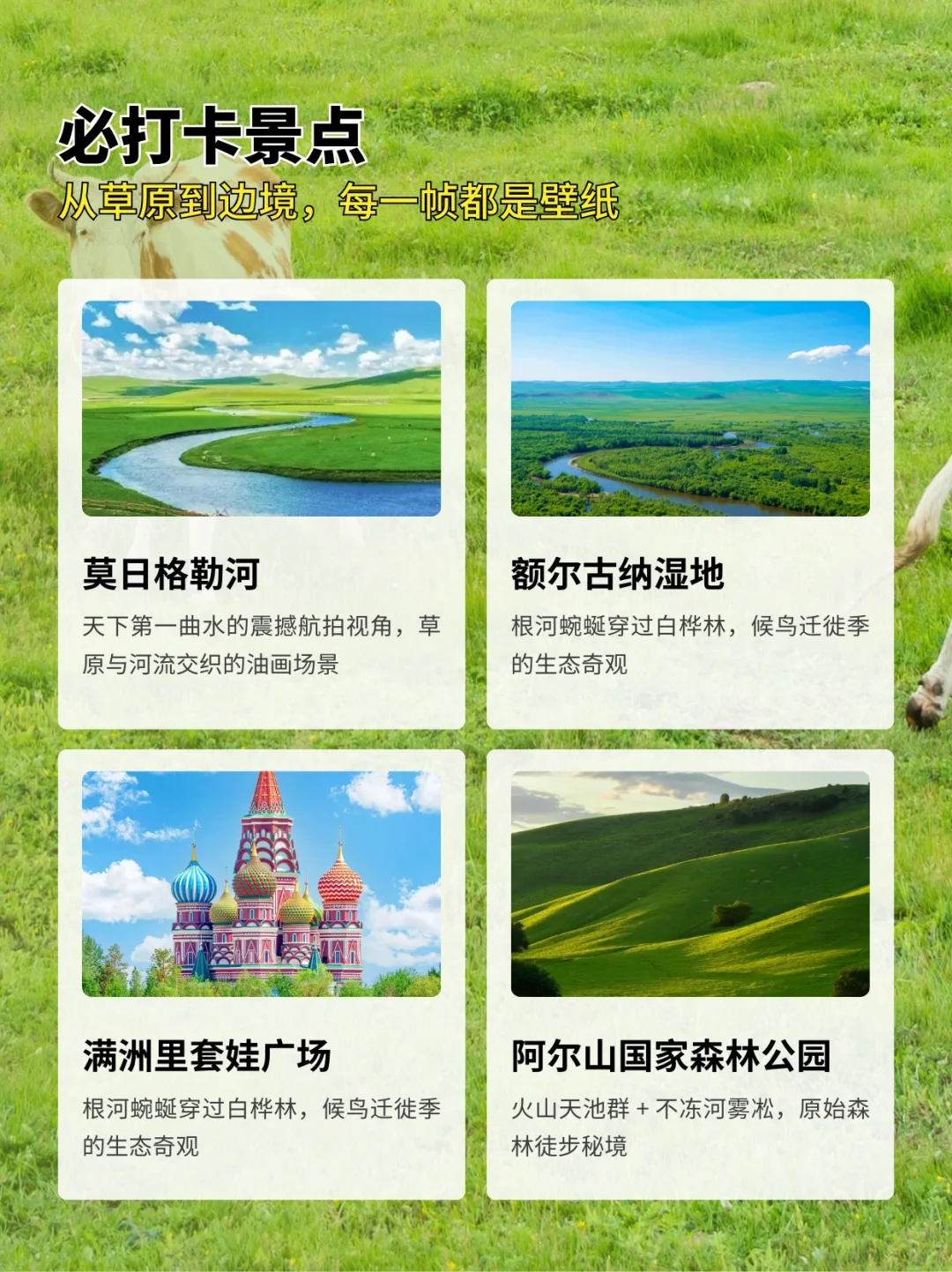 内蒙本地人私藏的5-6月旅游攻略!快码住!