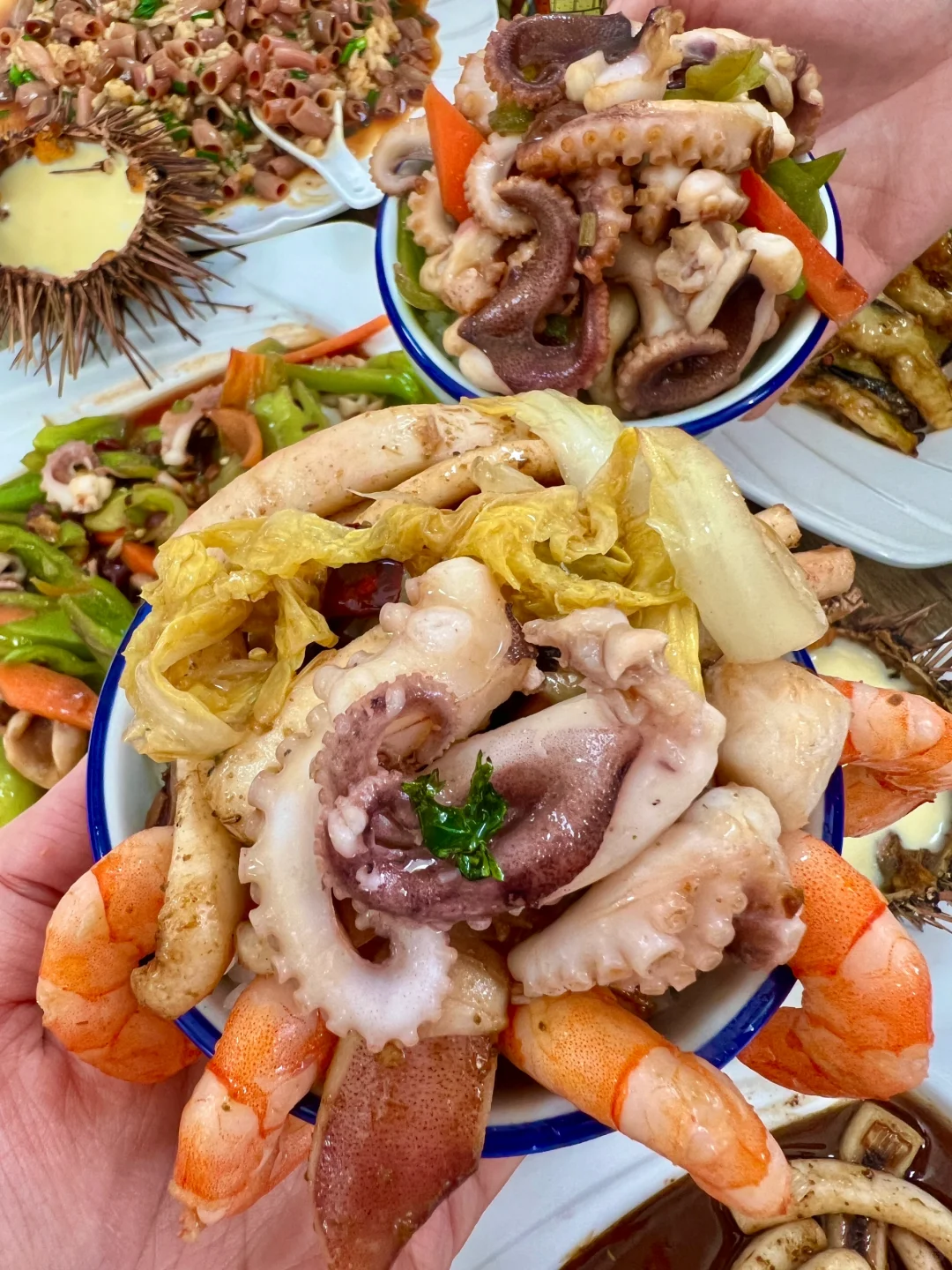 刚从蓬莱回来!说点大实话……😅😅