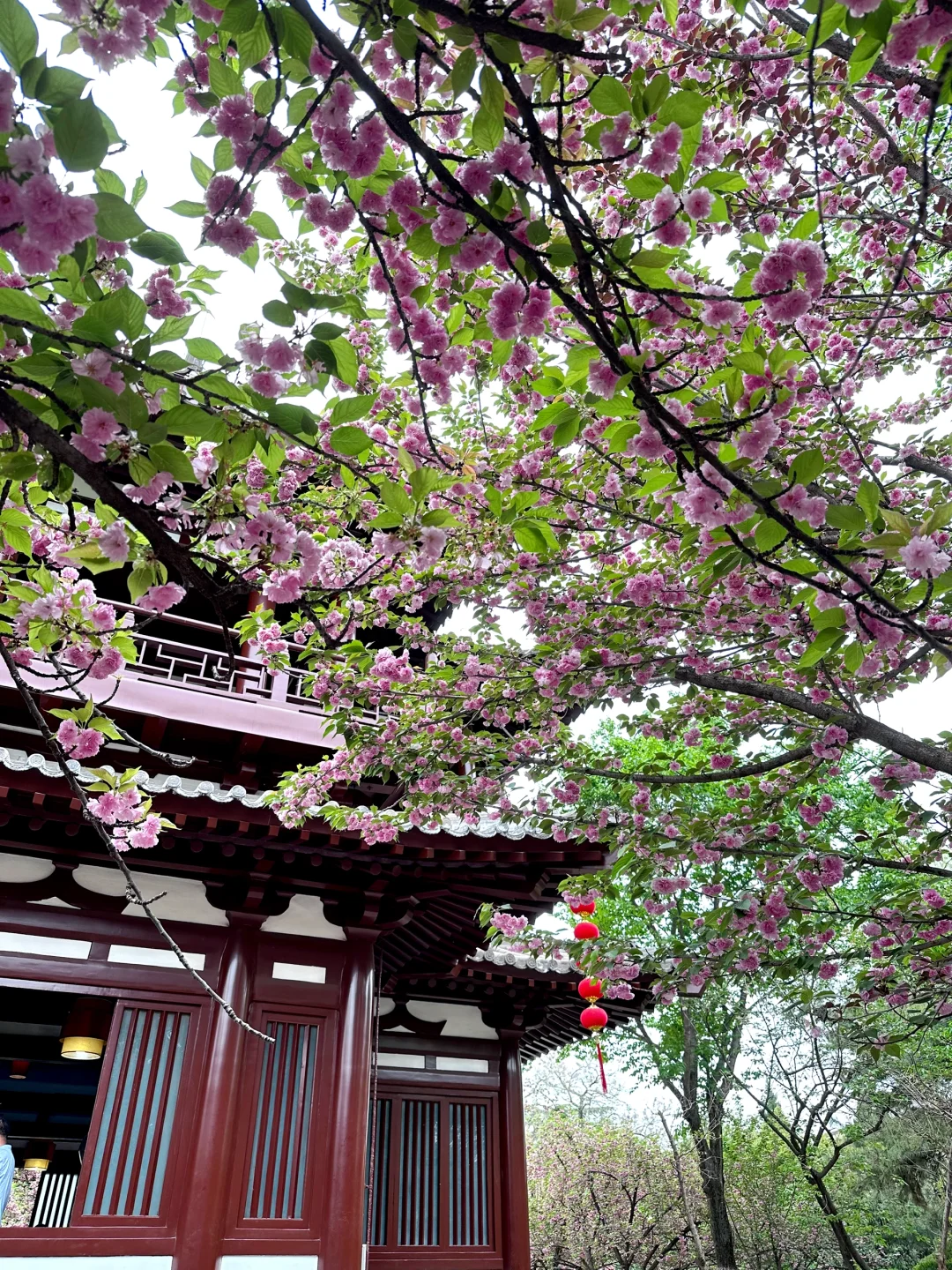 西安旅游攻略二