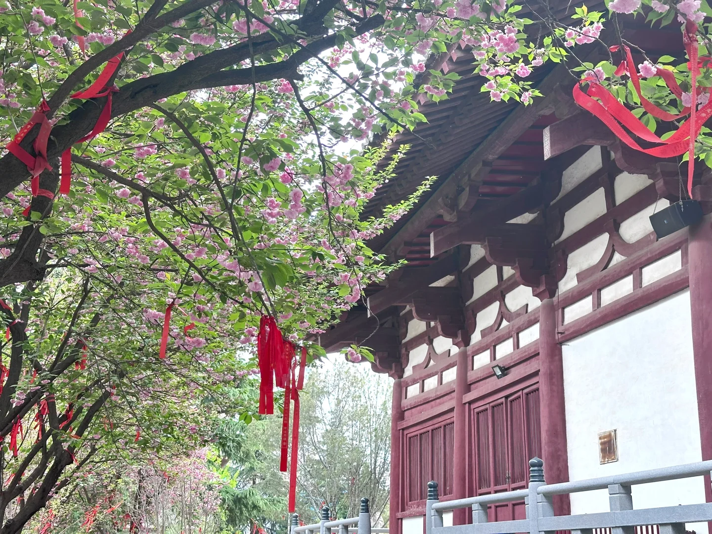 西安旅游攻略二