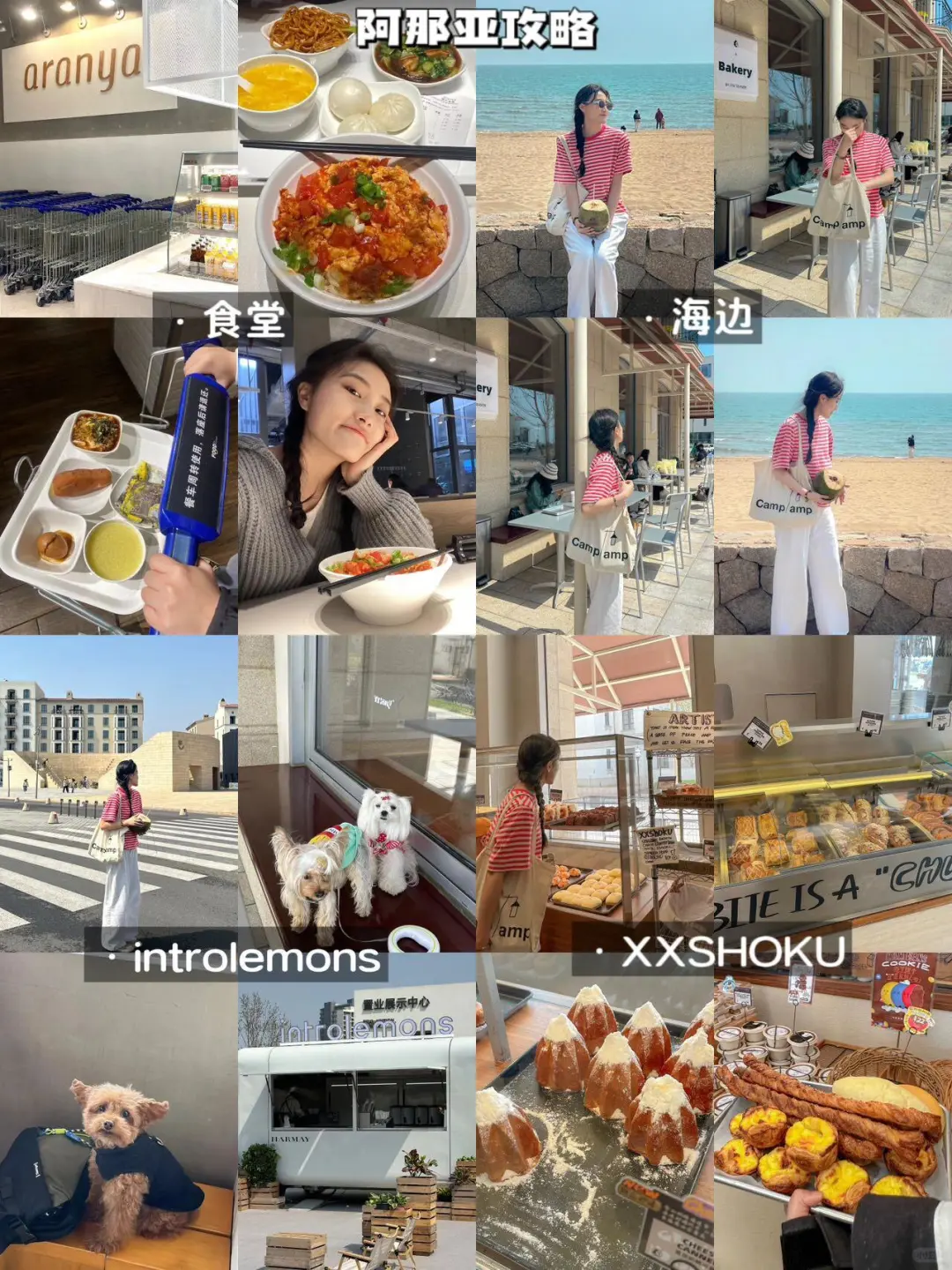《阿那亚旅游攻略》逛不完根本逛不完！