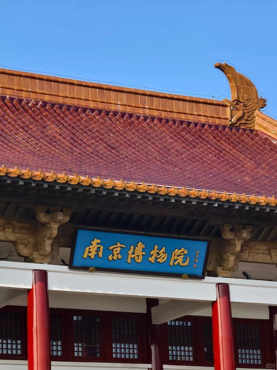 南京 你真的让我又爱又无语了