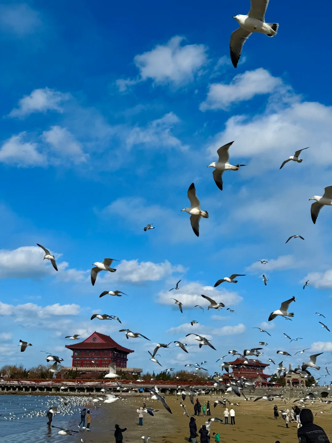 刚从蓬莱回来!说点大实话……😅😅