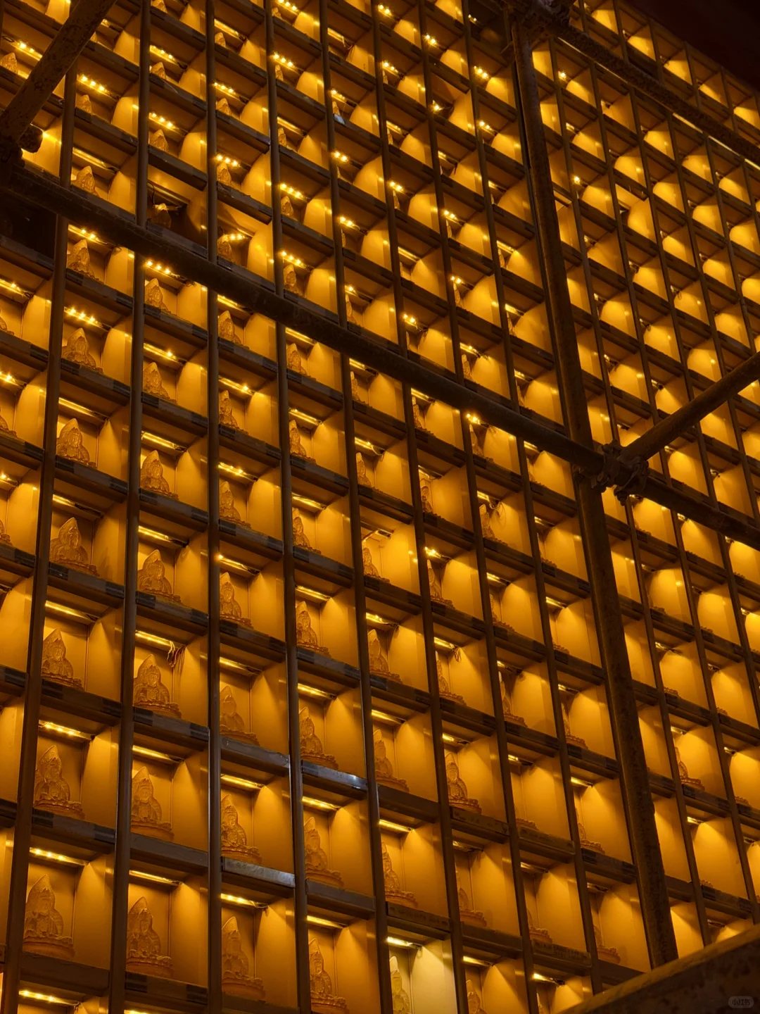 刚从蓬莱回来!说点大实话……😅😅