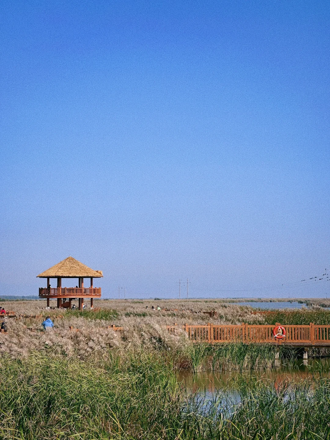 五一避开人潮的四个冷门目的地❗️直接抄作业