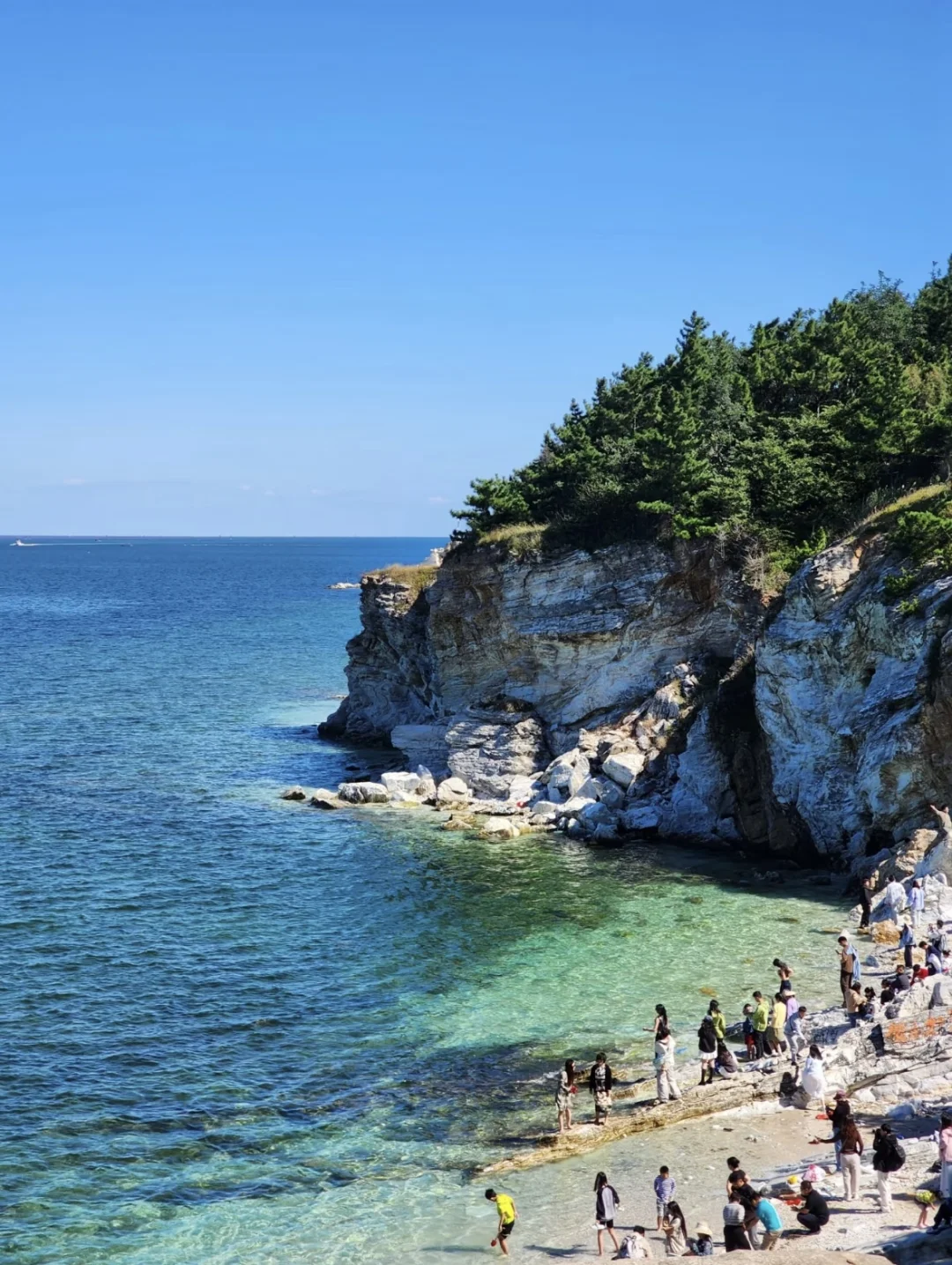 五一出行计划之养马岛!🌊