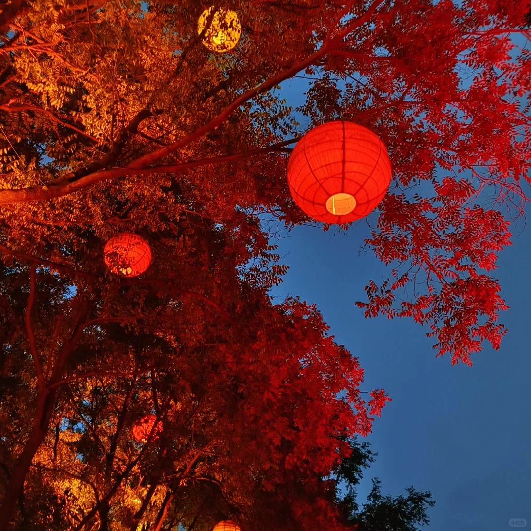 04男大📍西安三天两夜保姆级攻略❗️❗️