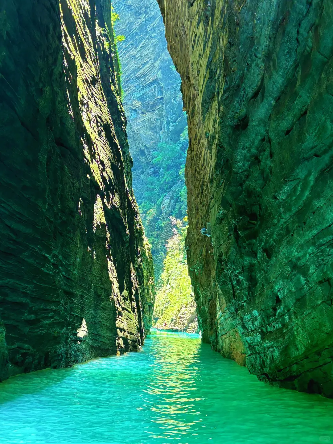 ！！！永远不删，恩施旅游攻略！绝美避坑必看💥