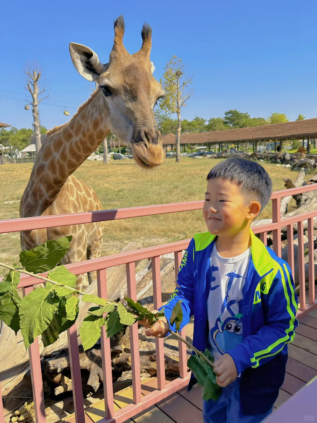 山东适合带孩子游玩（体验感好）的4个城市