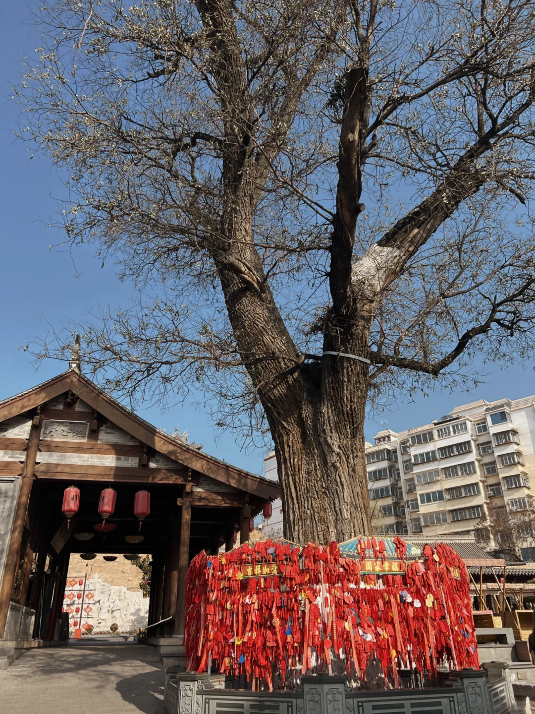 西安～天水2天1晚旅游攻略❗人均500❗快去