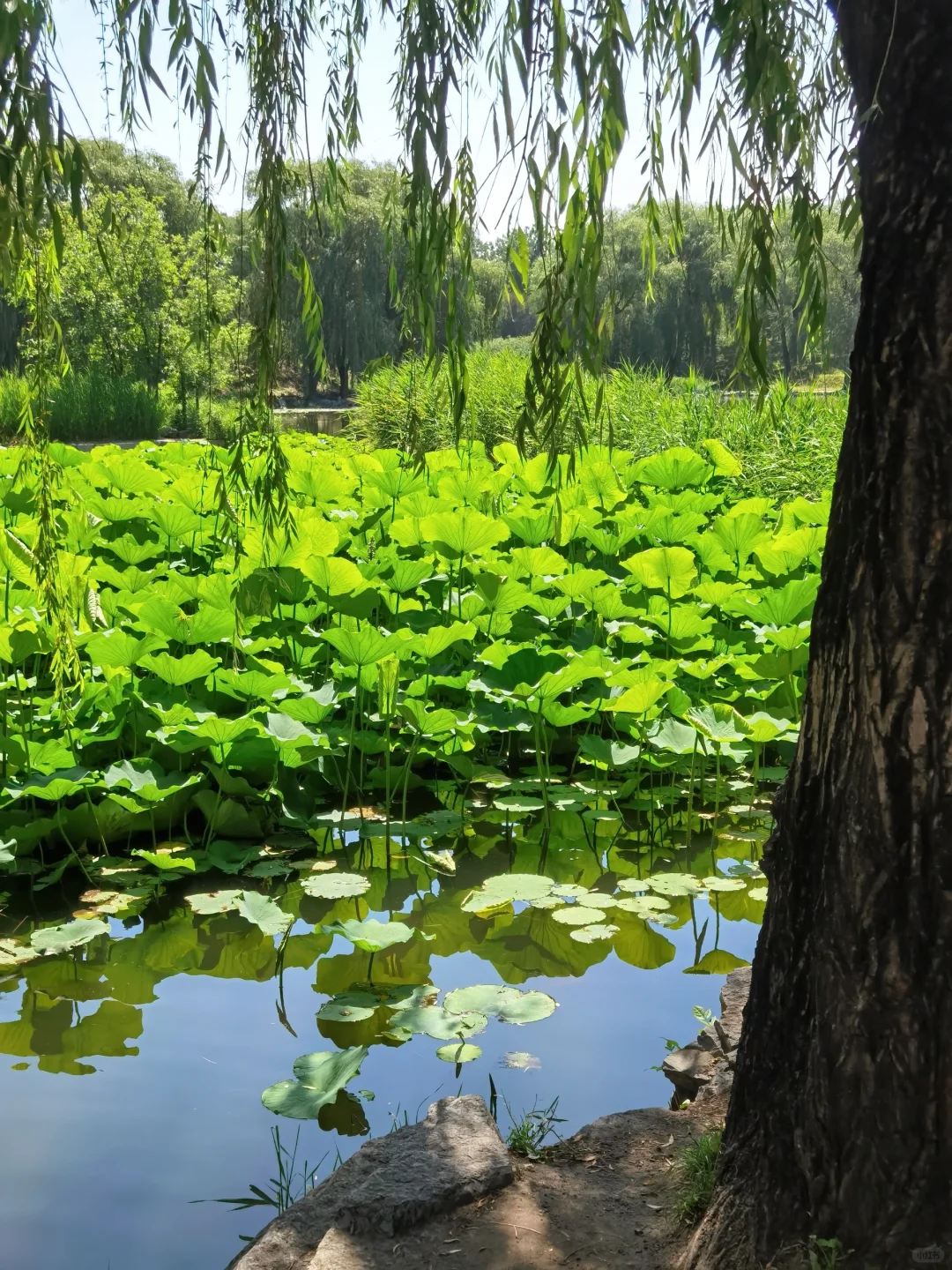 🚩北京 | 趁兴而来，尽兴而归