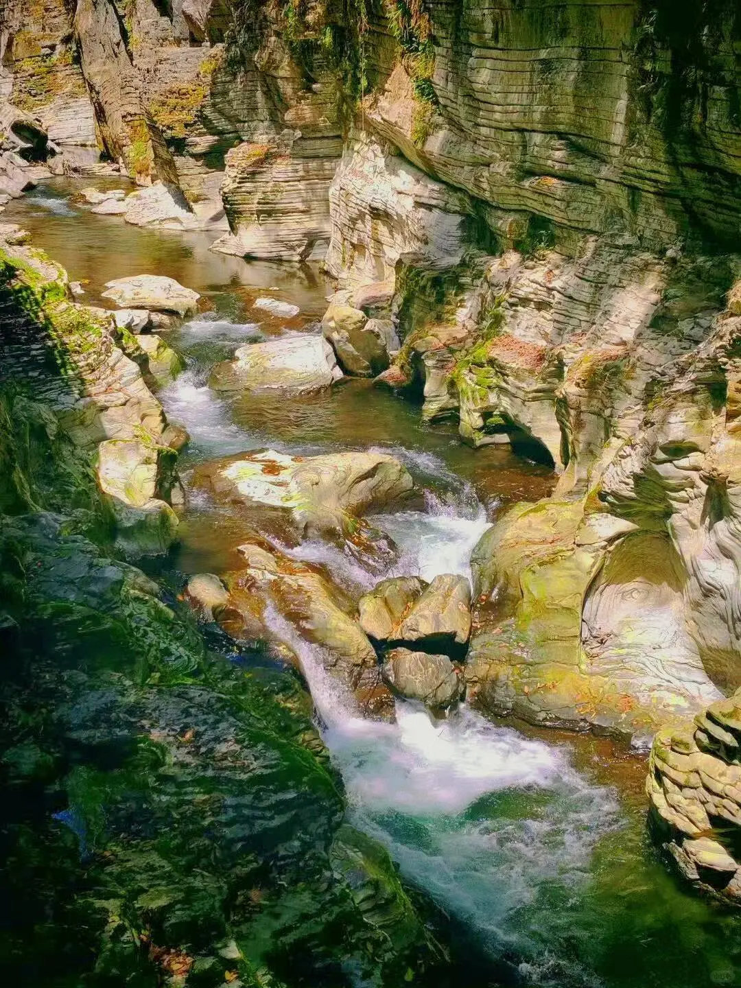 ！！！永远不删，恩施旅游攻略！绝美避坑必看💥