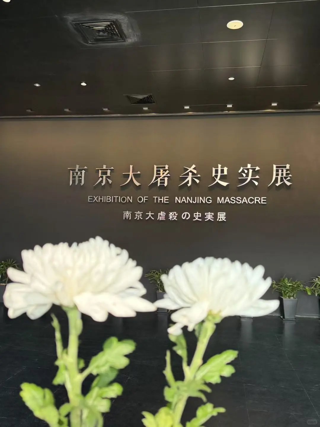 南京必去｜遇难同胞纪念馆超全