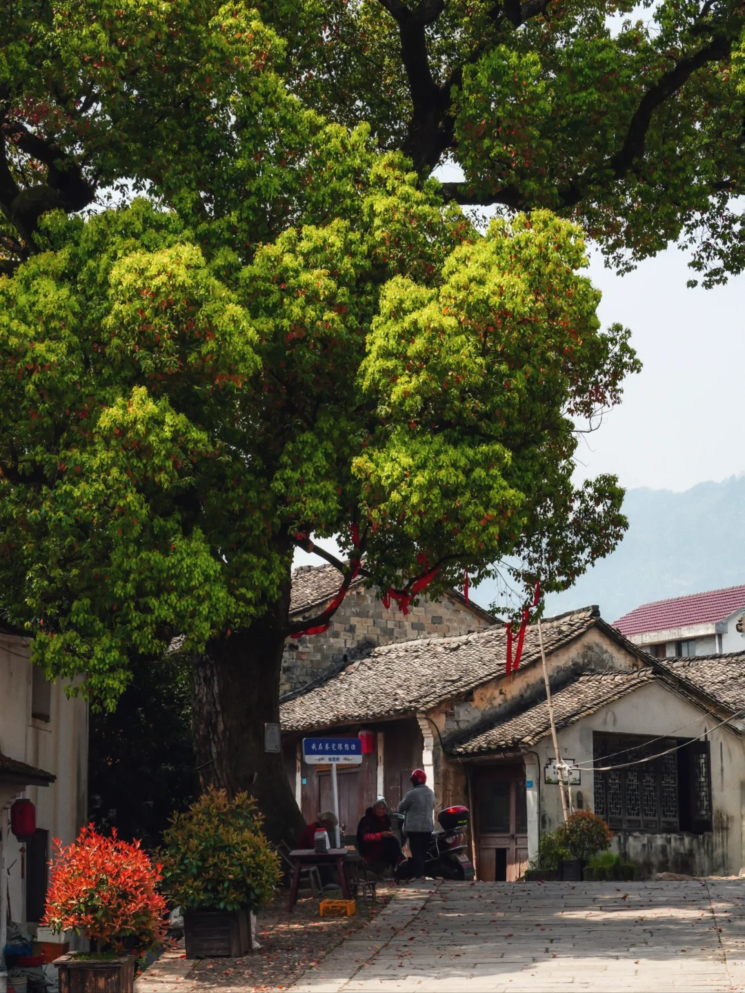 今年去过最冷门惊艳的地方，居然在我老家
