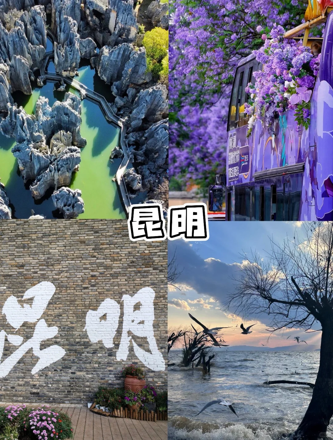 谁还没有去过的这几个地方呀‼️