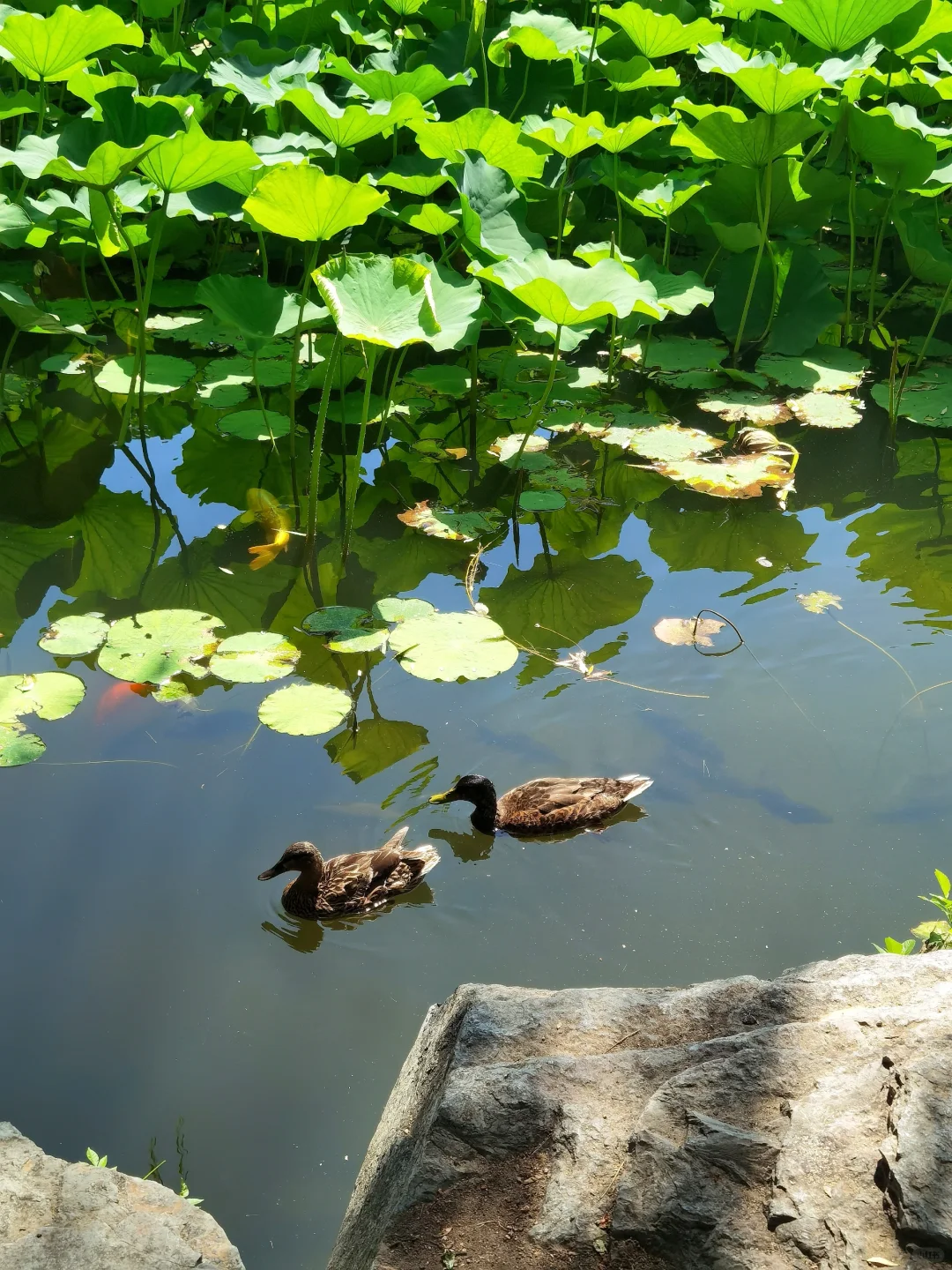 🚩北京 | 趁兴而来，尽兴而归