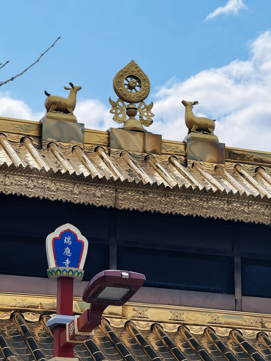 五一避开人潮的四个冷门目的地❗️直接抄作业