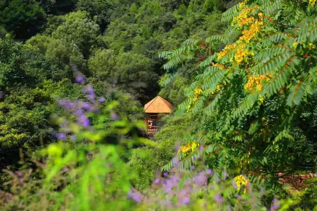 误入人间宫阙，邂逅绝美落霞