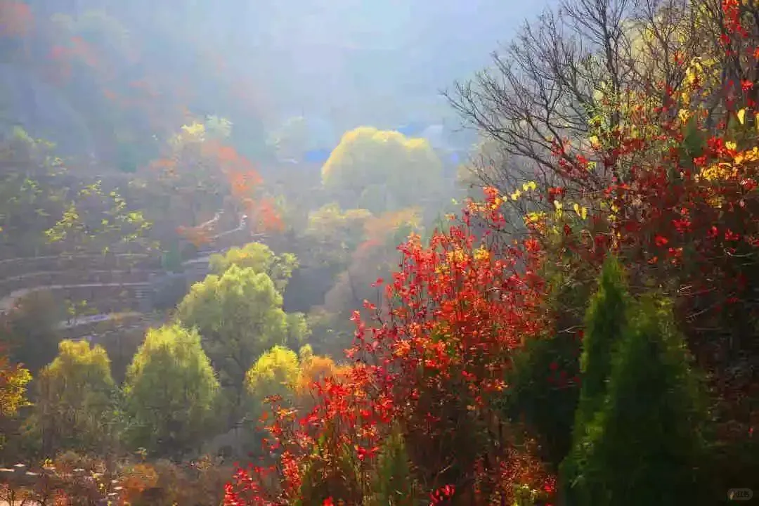 误入人间宫阙，邂逅绝美落霞