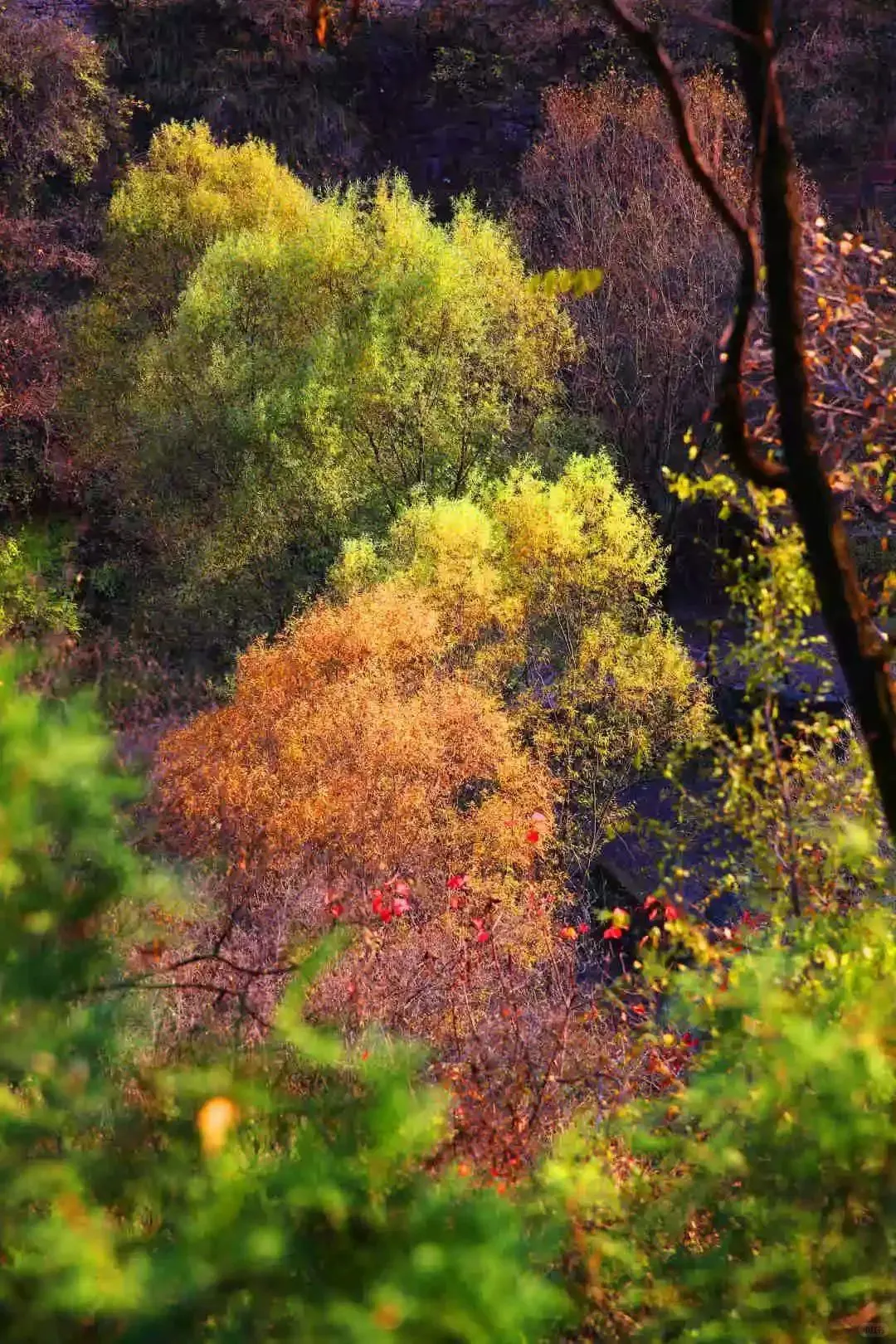 误入人间宫阙，邂逅绝美落霞