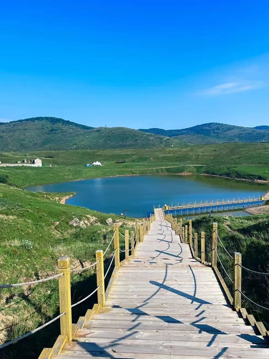 山西新晋“阿勒泰”拍照绝绝子