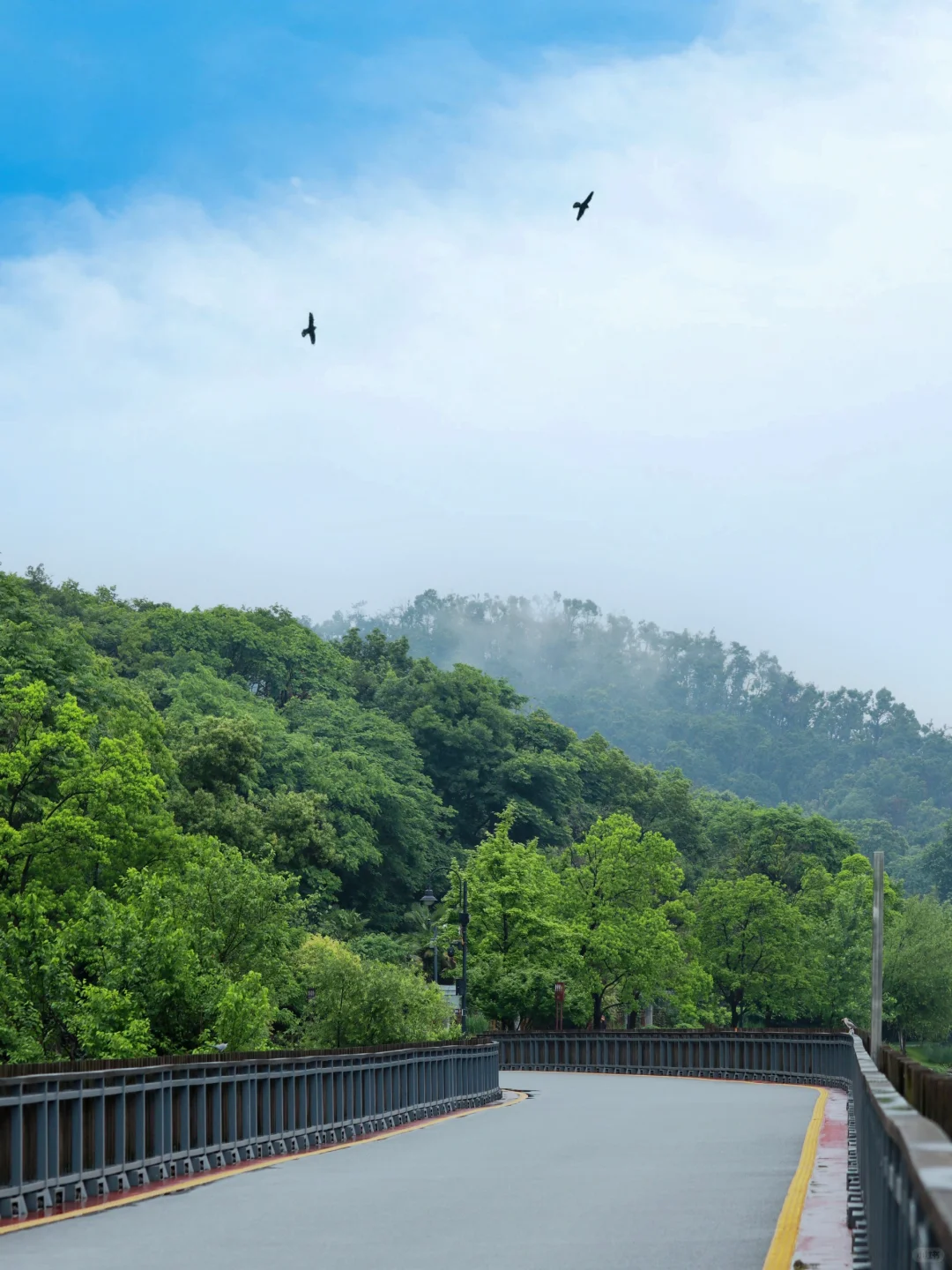 听劝！来东湖几百次，不做攻略等于白来😅