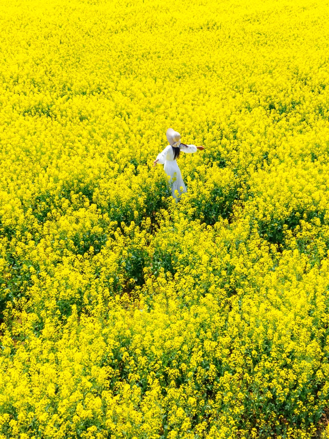 扬州已经很美了|直到来到汪曾祺笔下的高邮