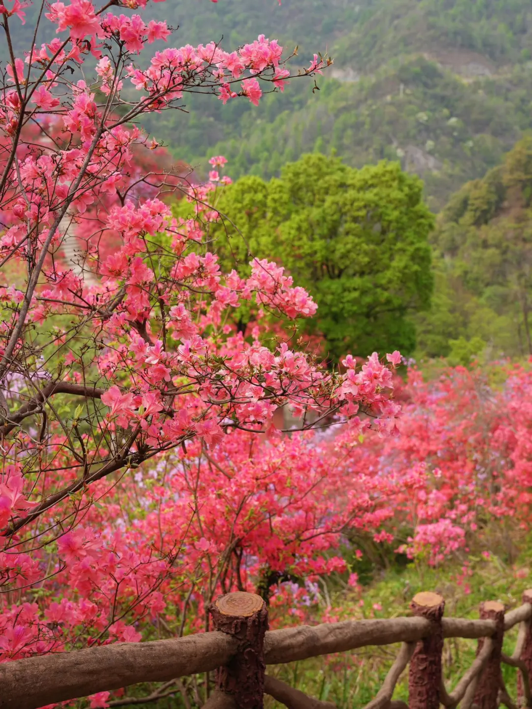 五一避开人潮！闯入现实版绿野仙踪！！