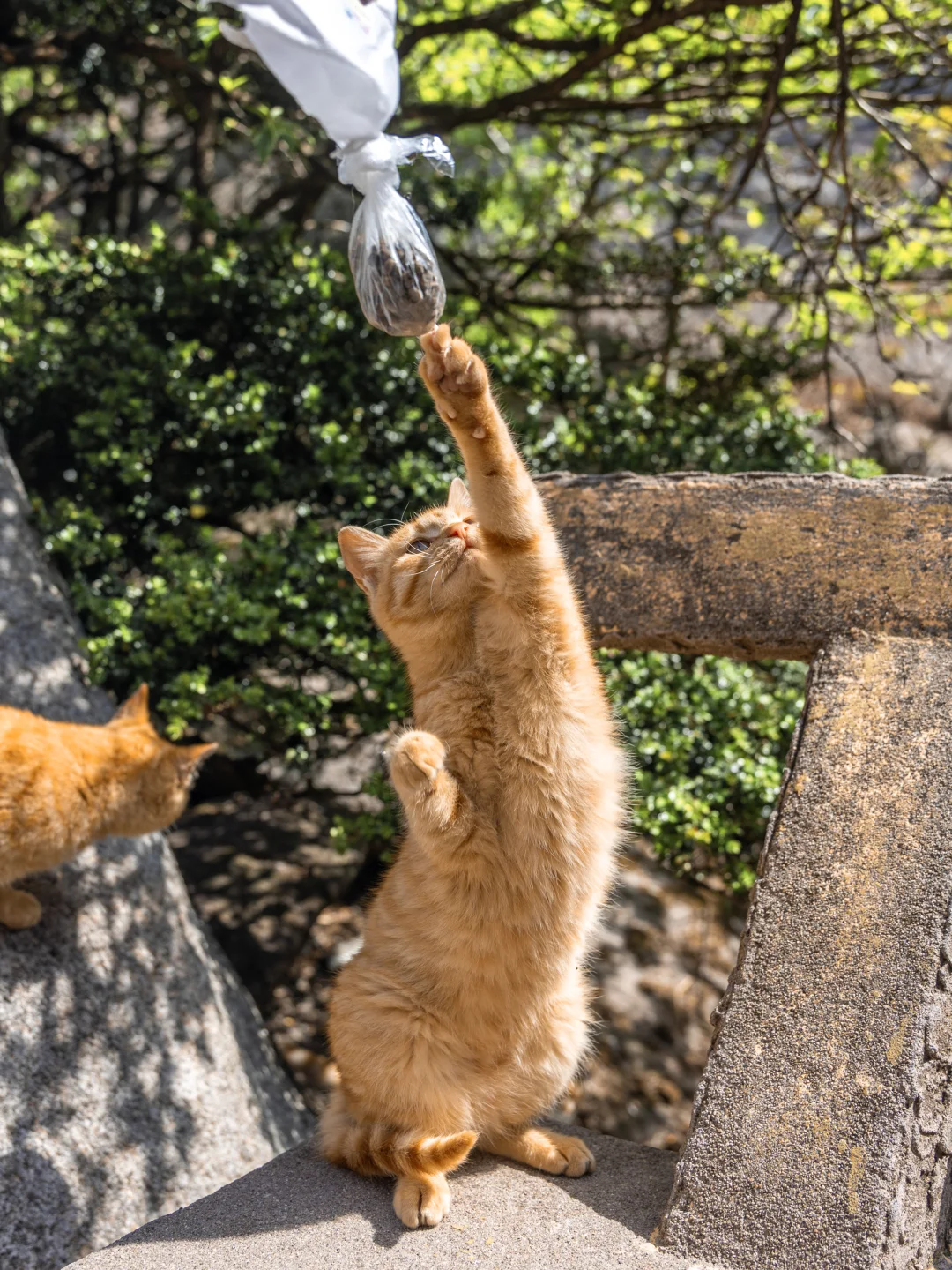 比起黄山！我更爱这座李白都二刷的仙山！