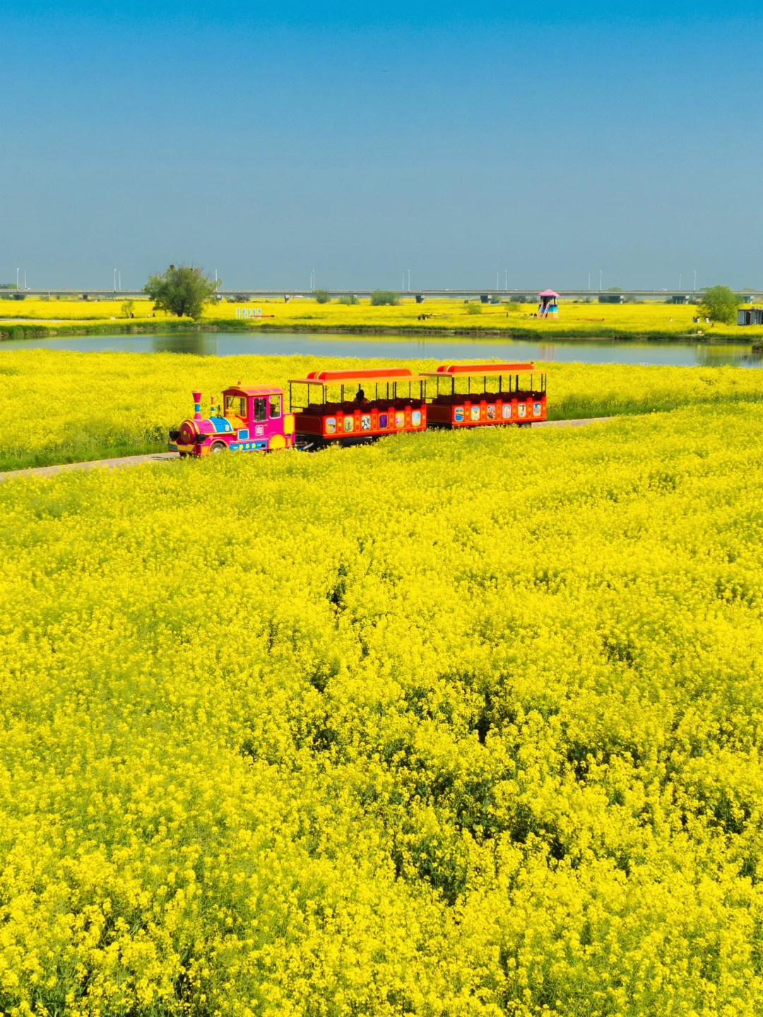 扬州已经很美了|直到来到汪曾祺笔下的高邮