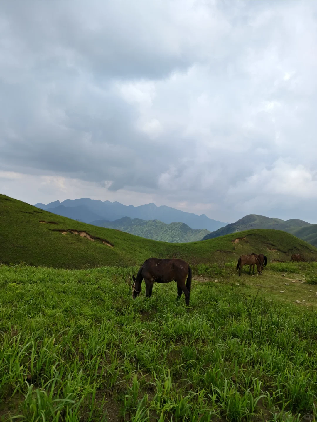 武功山/因为是经典反穿线所以必须走一次呀