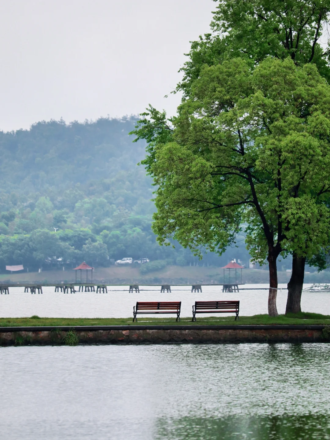 听劝！来东湖几百次，不做攻略等于白来😅