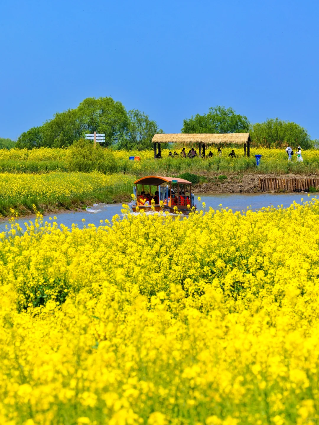 扬州已经很美了|直到来到汪曾祺笔下的高邮
