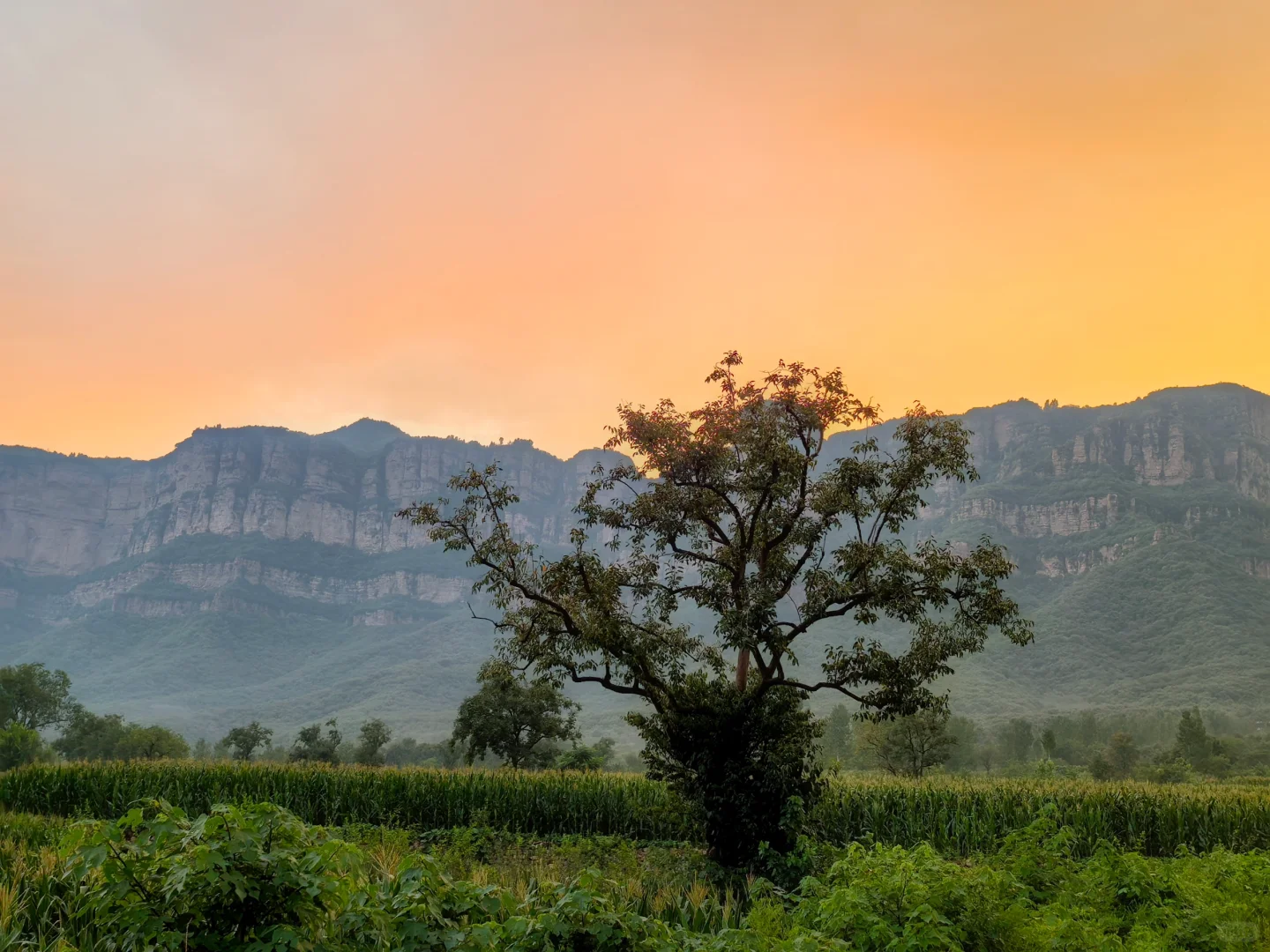 石家庄出发到林州两日游