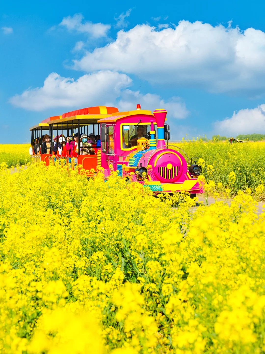 扬州已经很美了|直到来到汪曾祺笔下的高邮