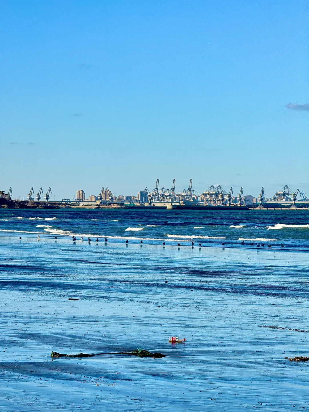 又想去烟台噜!(有攻略版