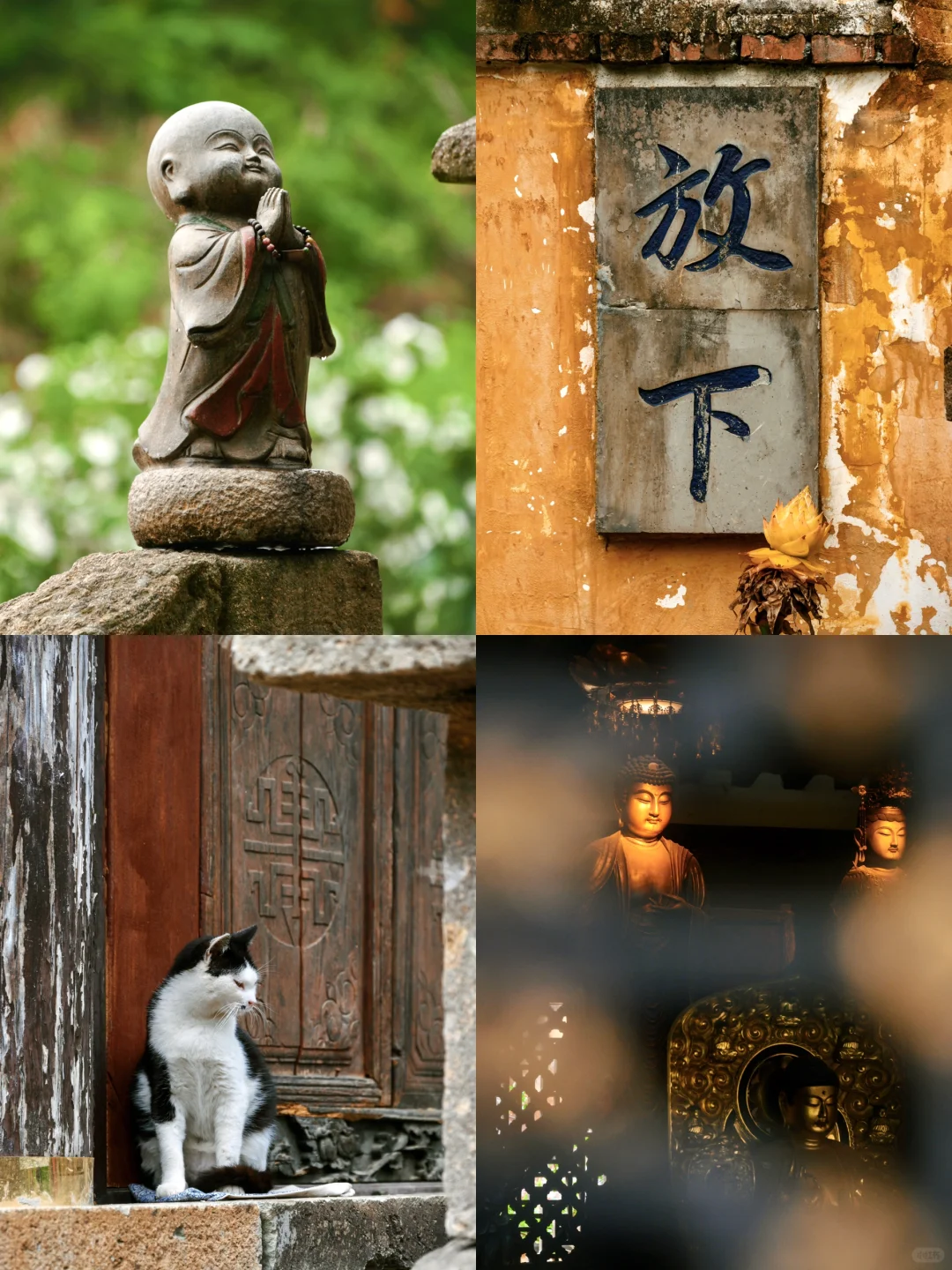 江浙沪真正冷门有趣的小城，我推荐一个