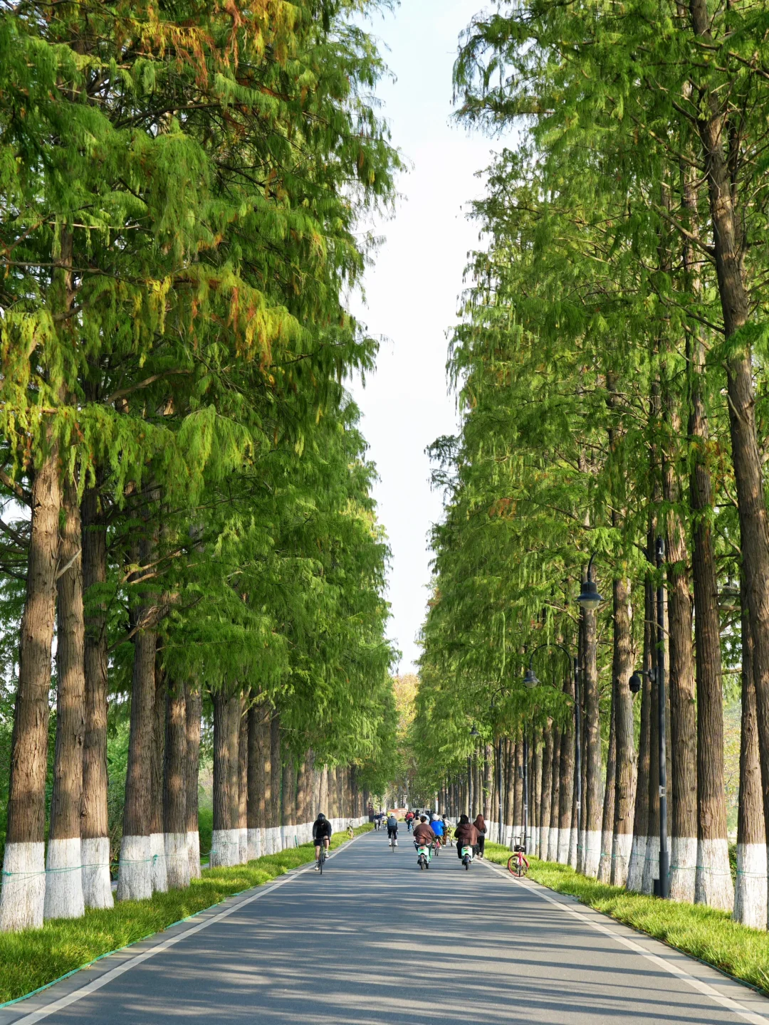 听劝！来东湖几百次，不做攻略等于白来😅