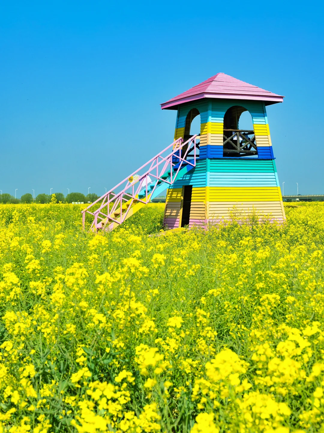 扬州已经很美了|直到来到汪曾祺笔下的高邮